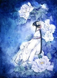 貓的修真錄