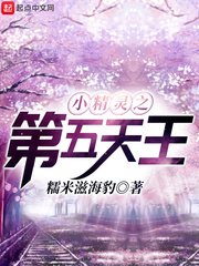 （宝可梦同人）小精灵之第五天王